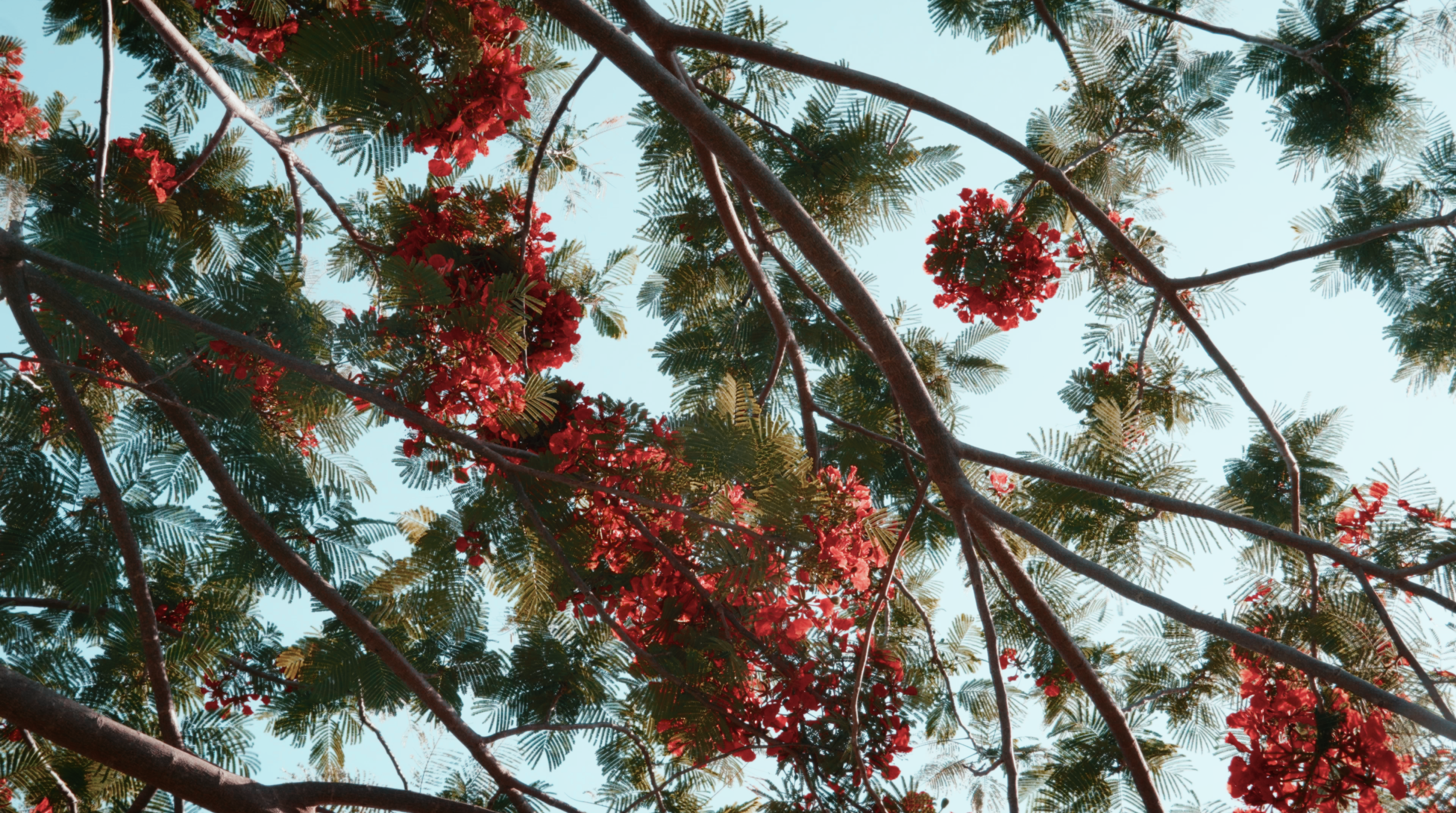 Screen Shot 2022-06-06 at 9.59.02 PM.png