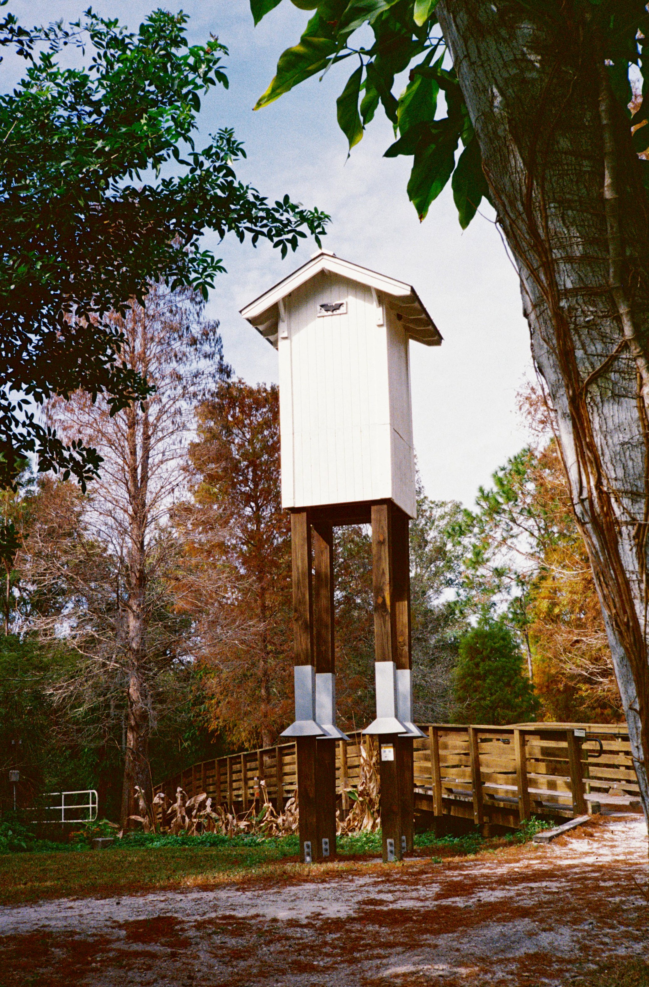 MK-B23039-21002-25 copy.jpg