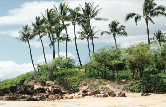 Hurricane Coverage in Hawaii