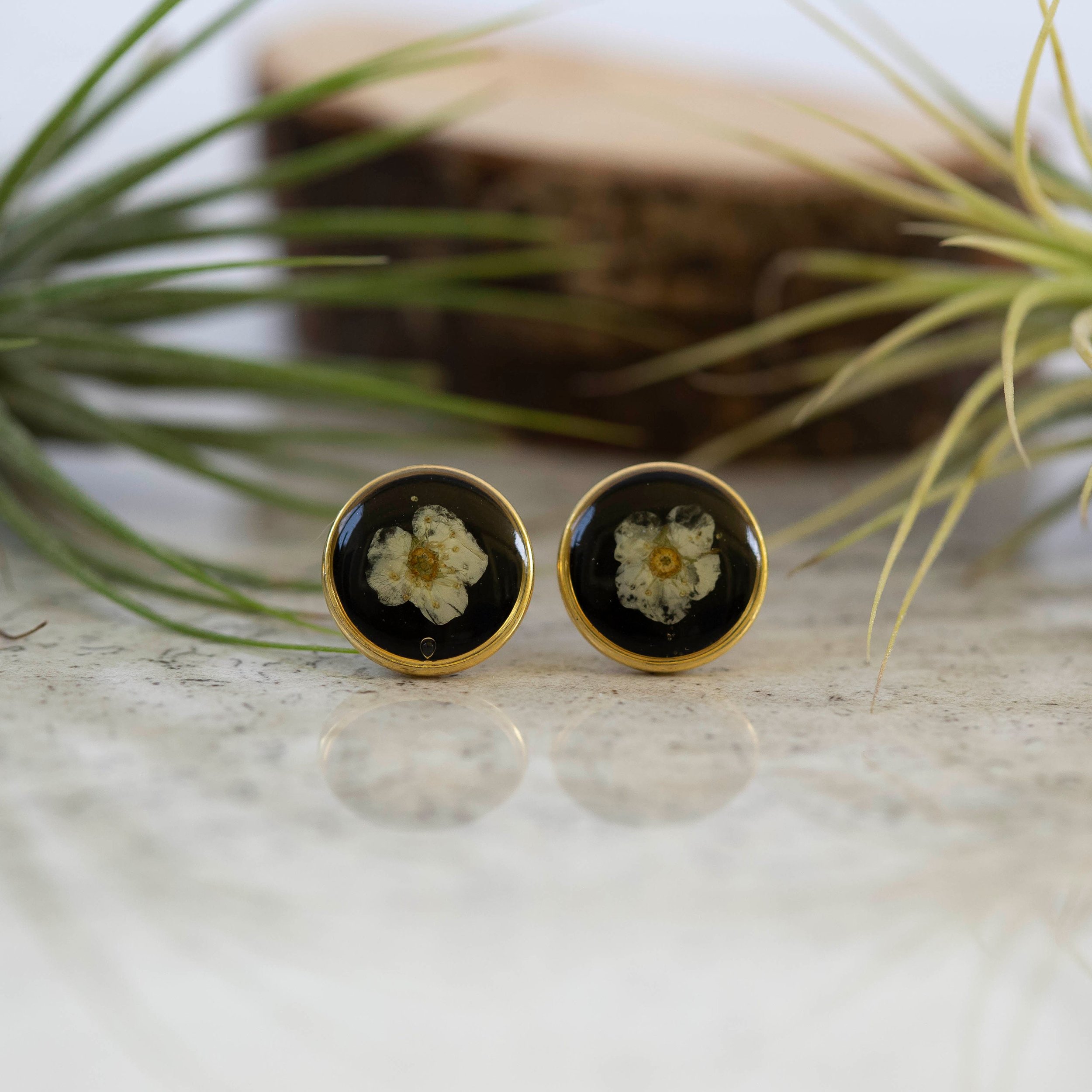 https://i.etsystatic.com/5989285/r/il/259bea/3112324120/il_fullxfull.3112324120_9eml.jpg