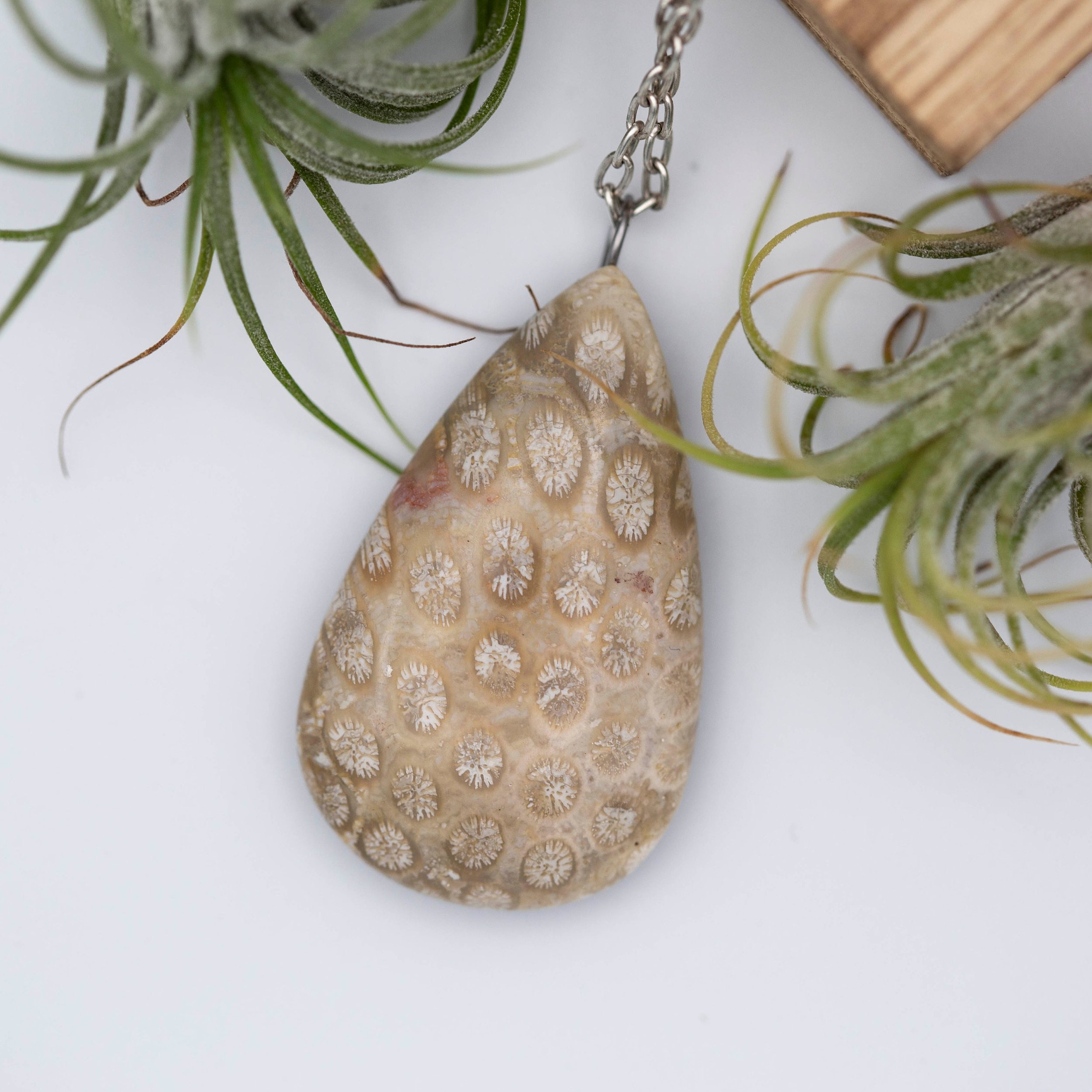 Fossil Coral Teardrop Antique Silver Necklace