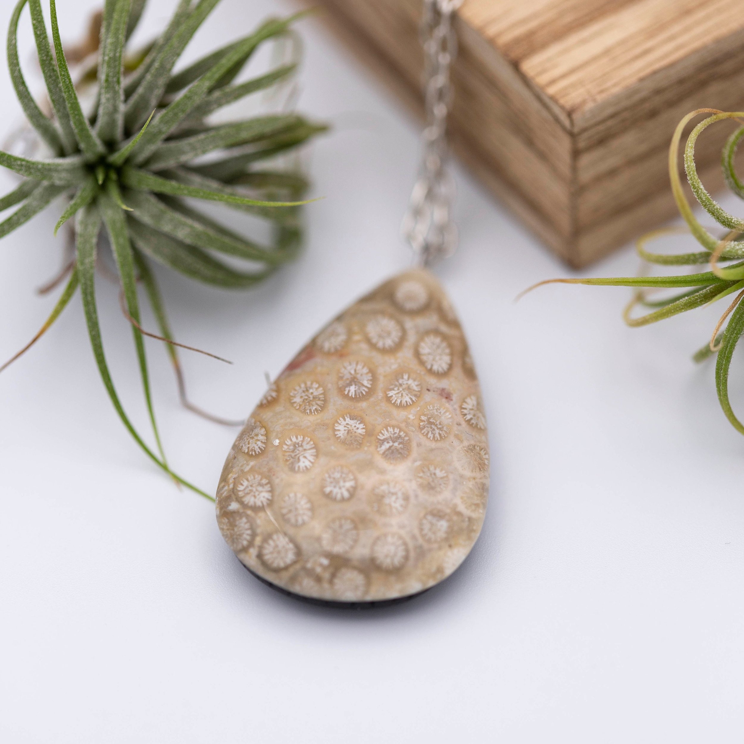 Fossil Coral Teardrop Antique Silver Necklace