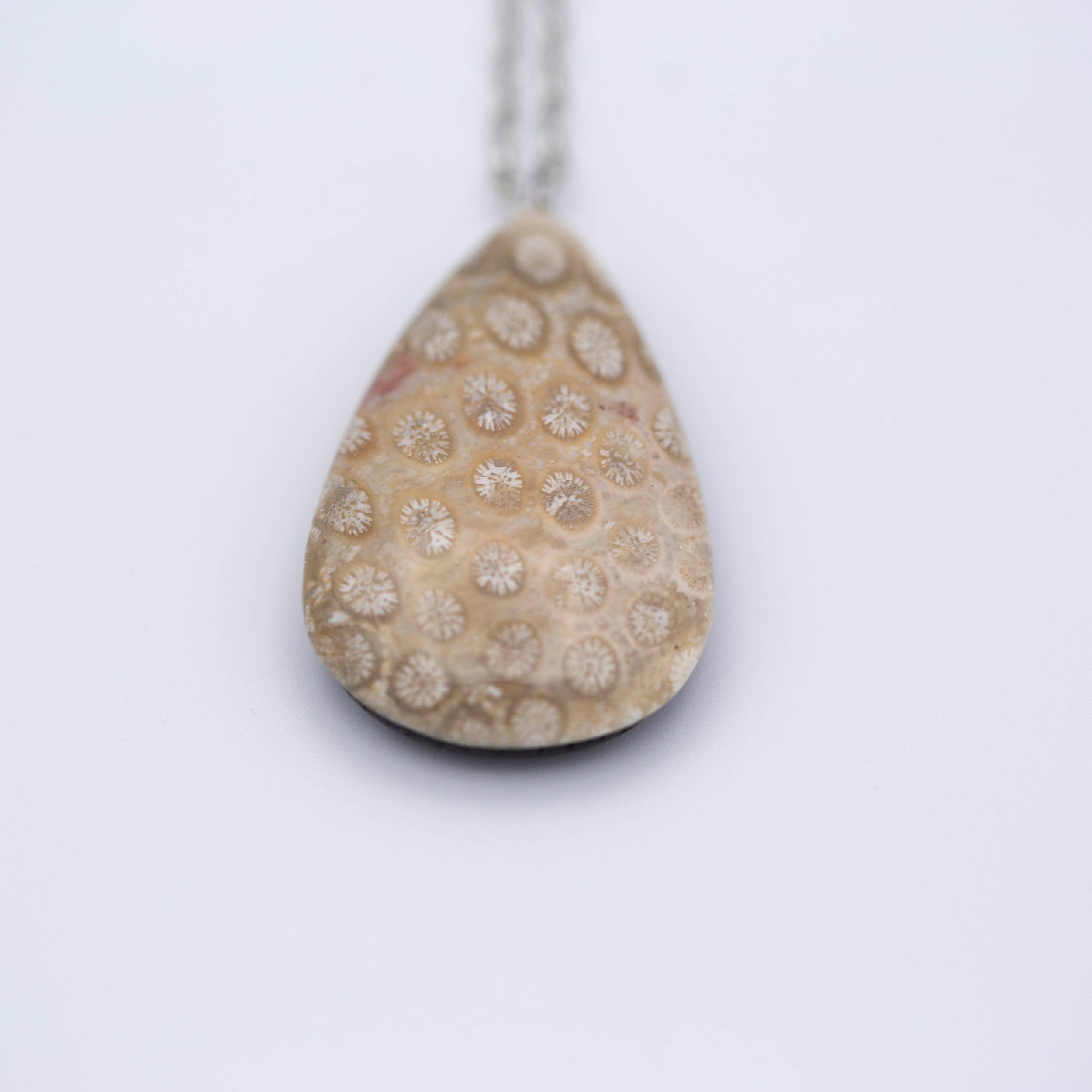 Fossil Coral Teardrop Antique Silver Necklace