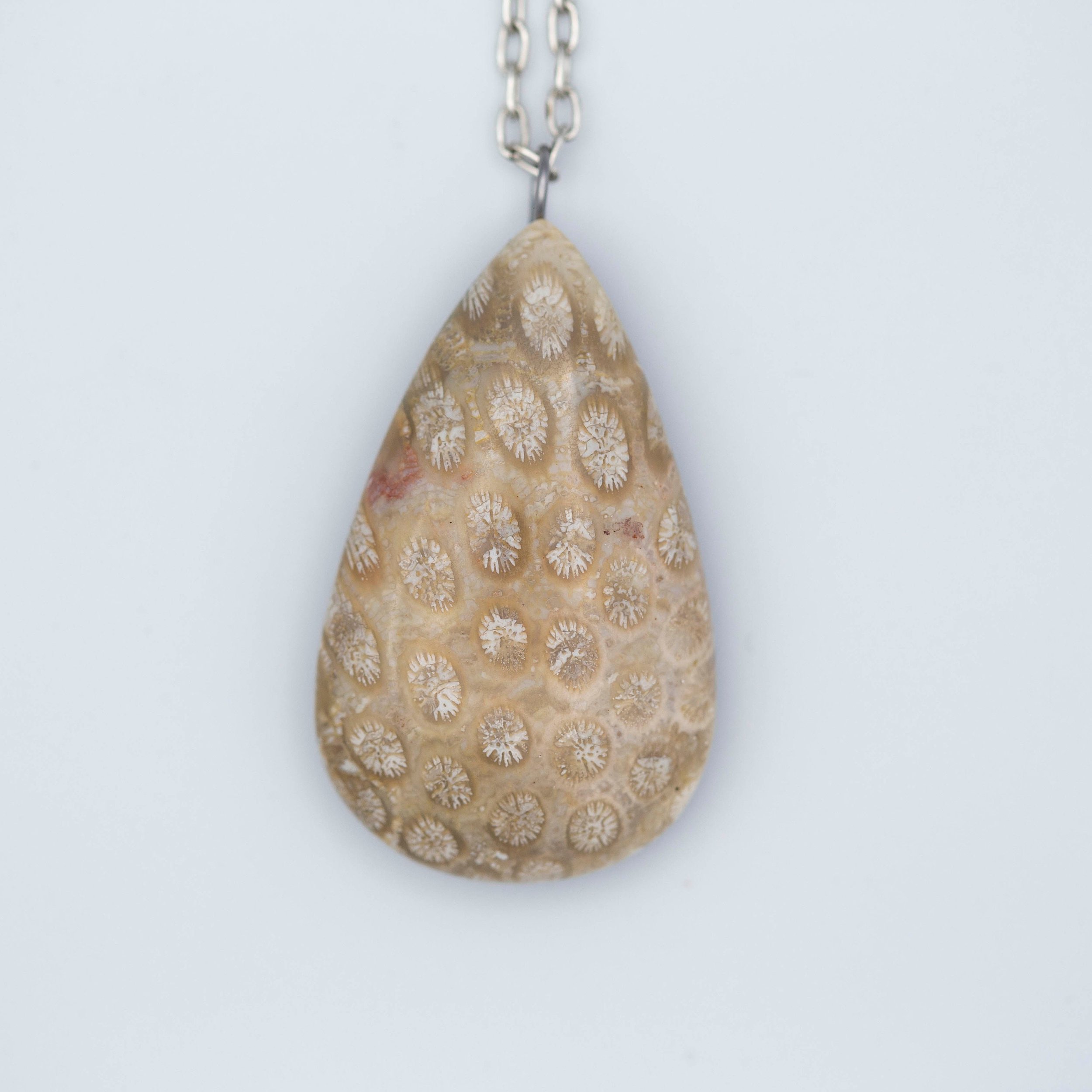 Fossil Coral Teardrop Antique Silver Necklace