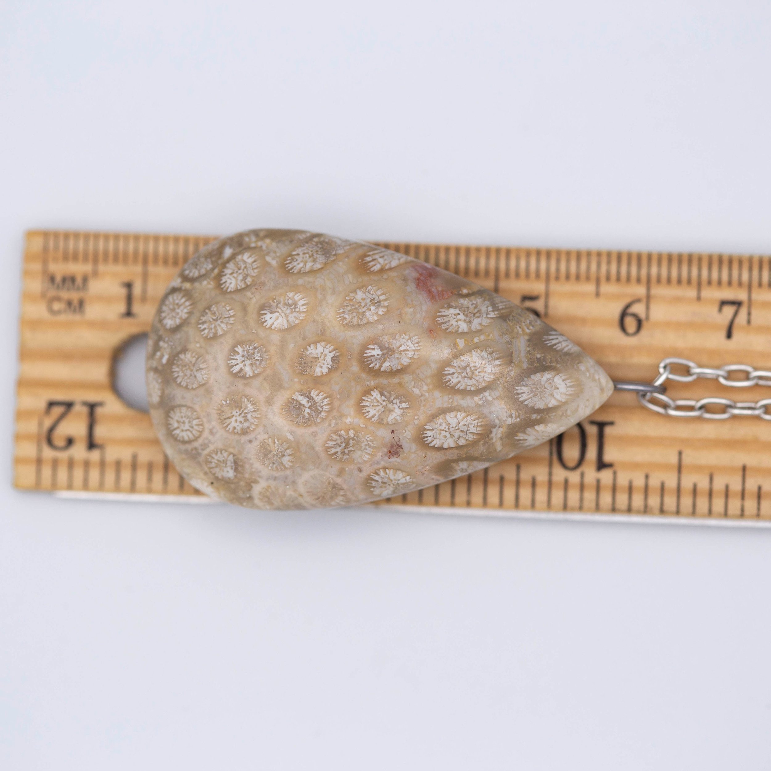 Fossil Coral Teardrop Antique Silver Necklace