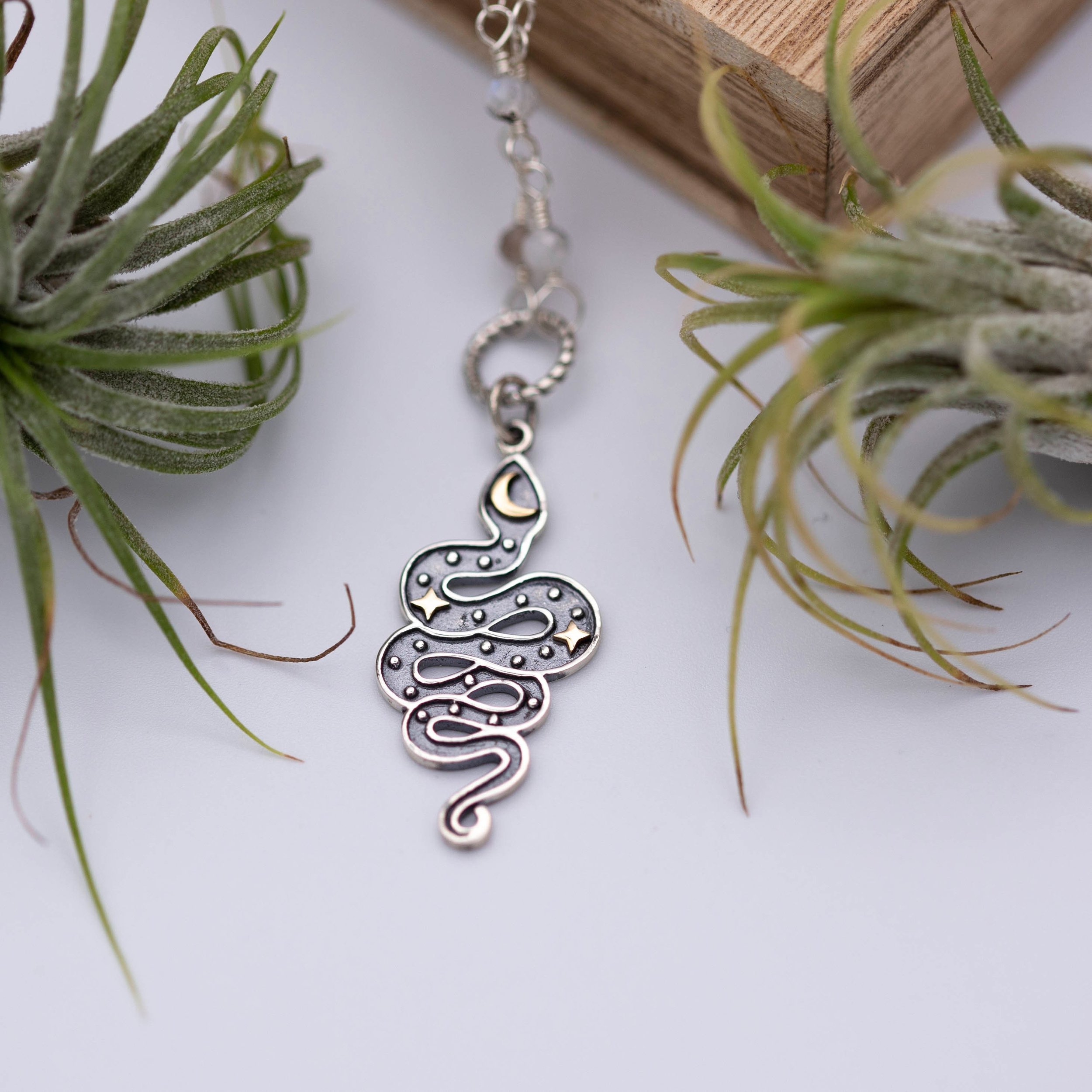 https://i.etsystatic.com/5989285/r/il/f78b0b/3383559065/il_fullxfull.3383559065_7zc8.jpg
