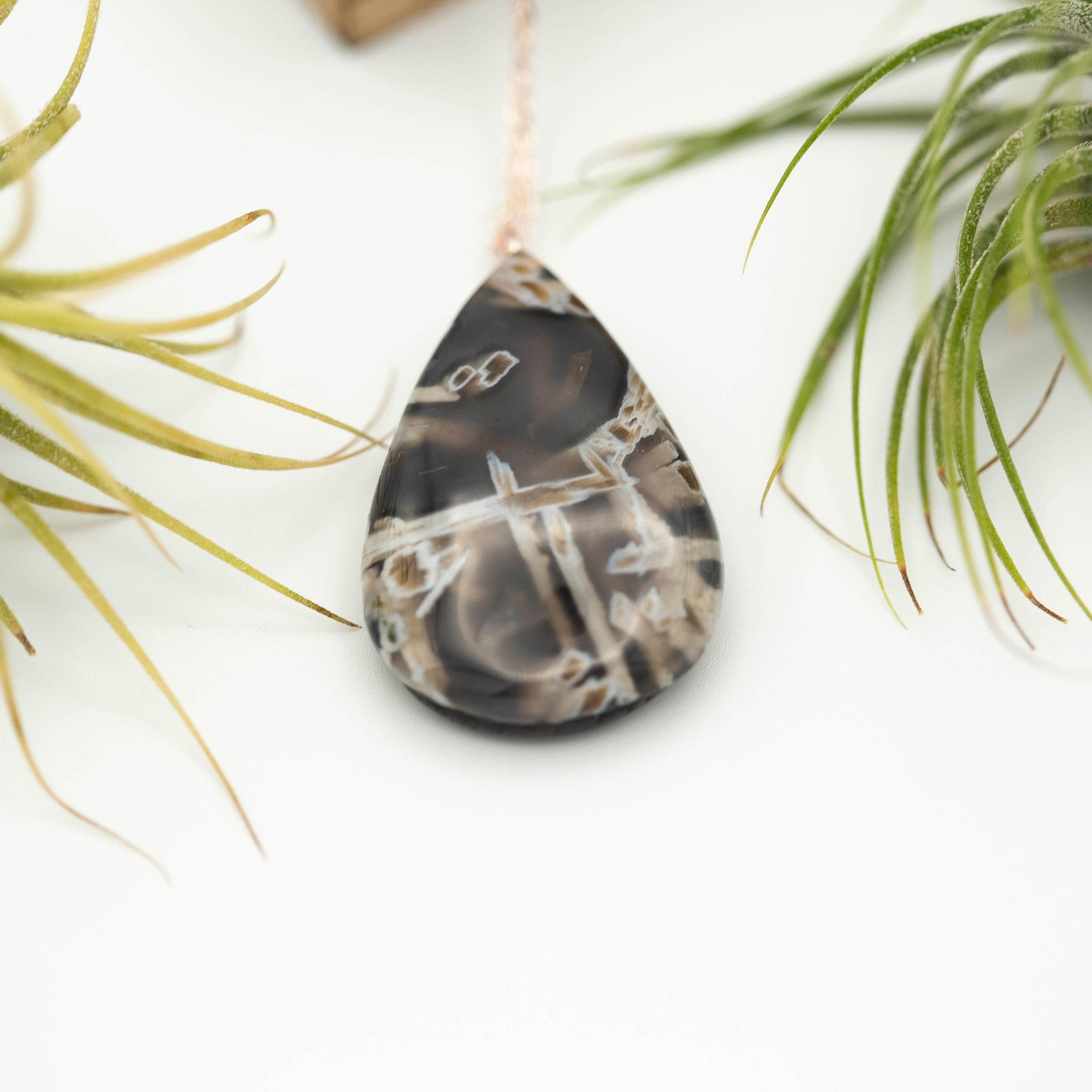 https://i.etsystatic.com/5989285/r/il/f5d51e/3173534908/il_fullxfull.3173534908_smo9.jpg