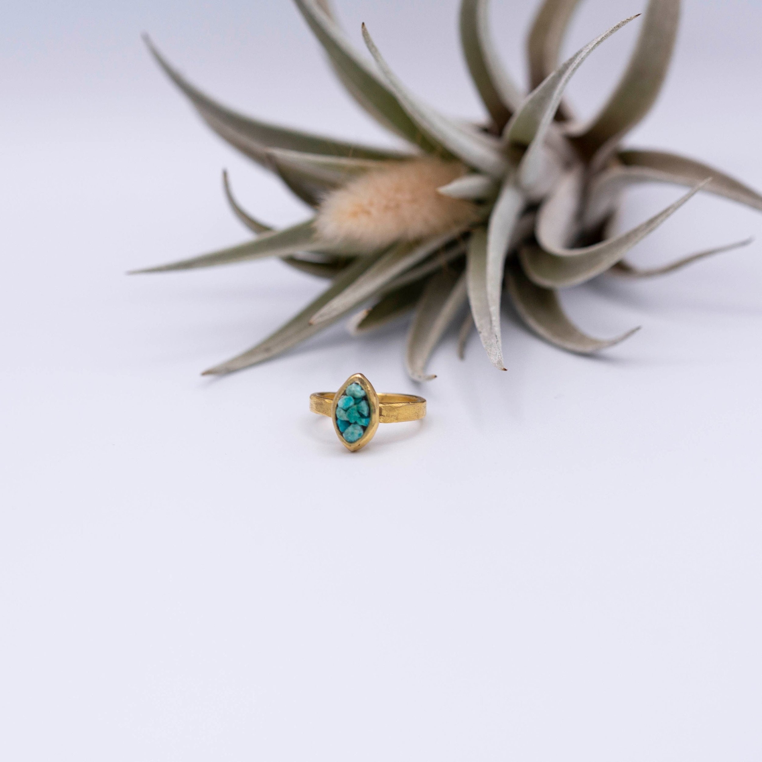 https://i.etsystatic.com/5989285/r/il/01814e/3425994954/il_fullxfull.3425994954_j50f.jpg