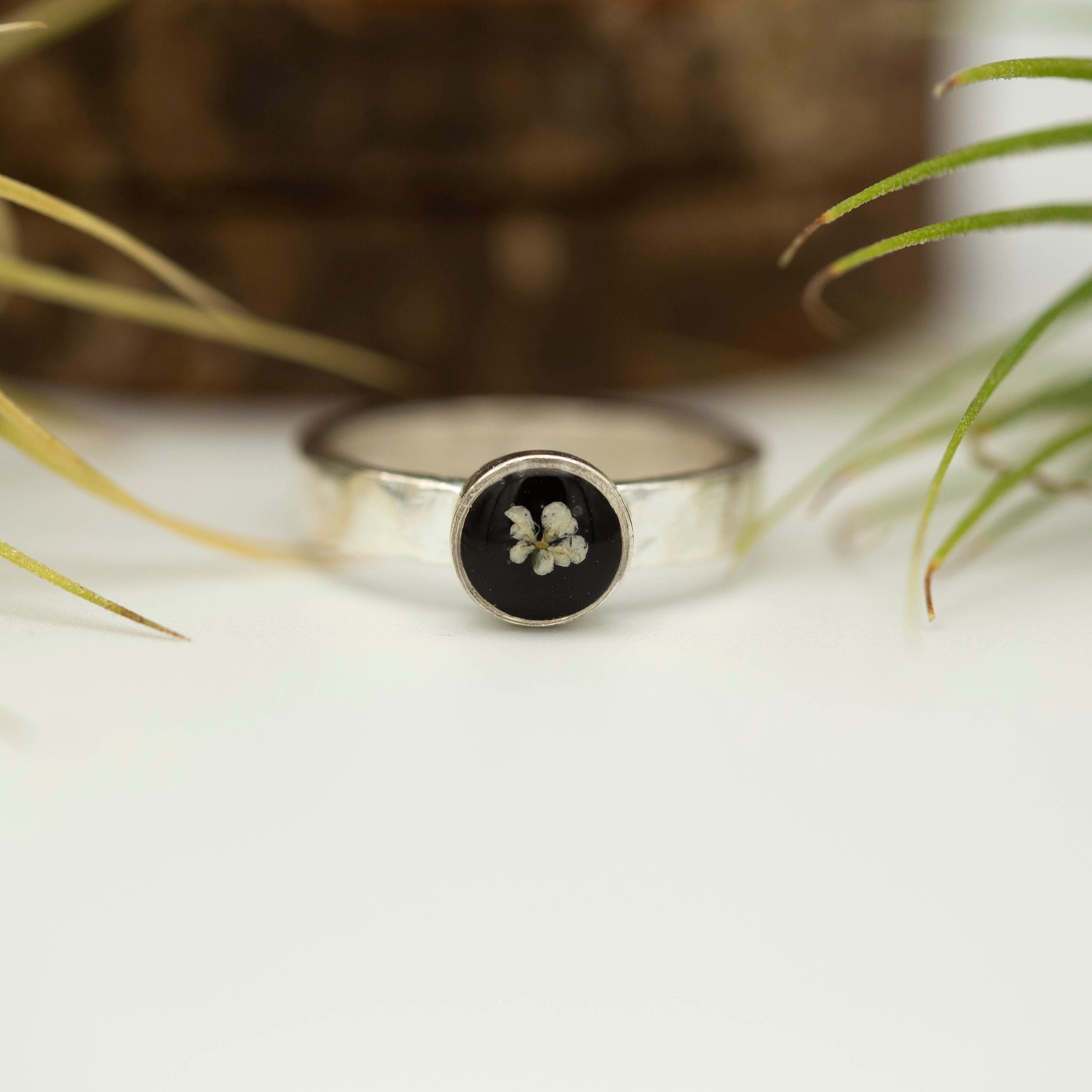 https://i.etsystatic.com/5989285/r/il/999afe/3148370976/il_fullxfull.3148370976_1781.jpg