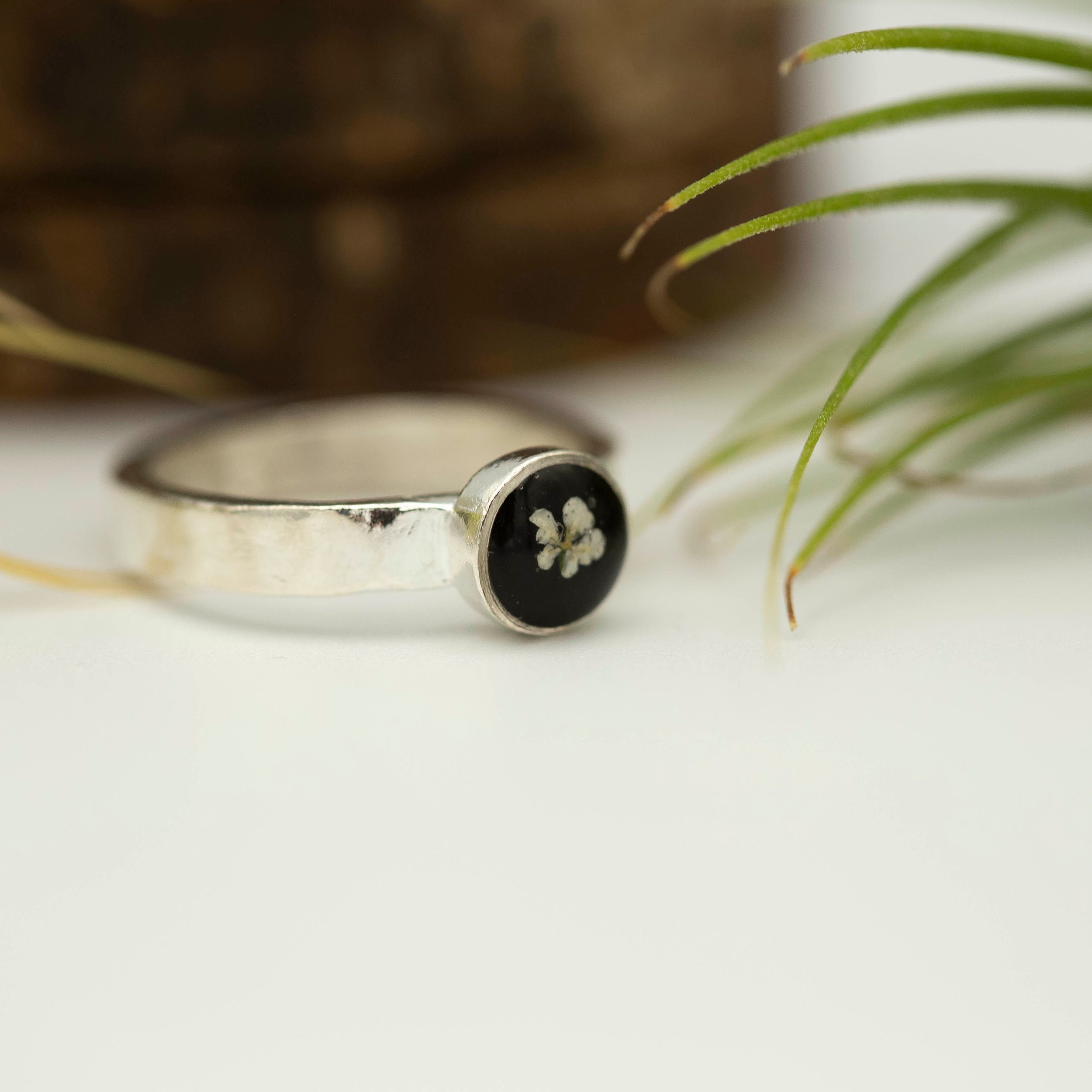 https://i.etsystatic.com/5989285/r/il/6ed1d6/3196080987/il_fullxfull.3196080987_m4hv.jpg