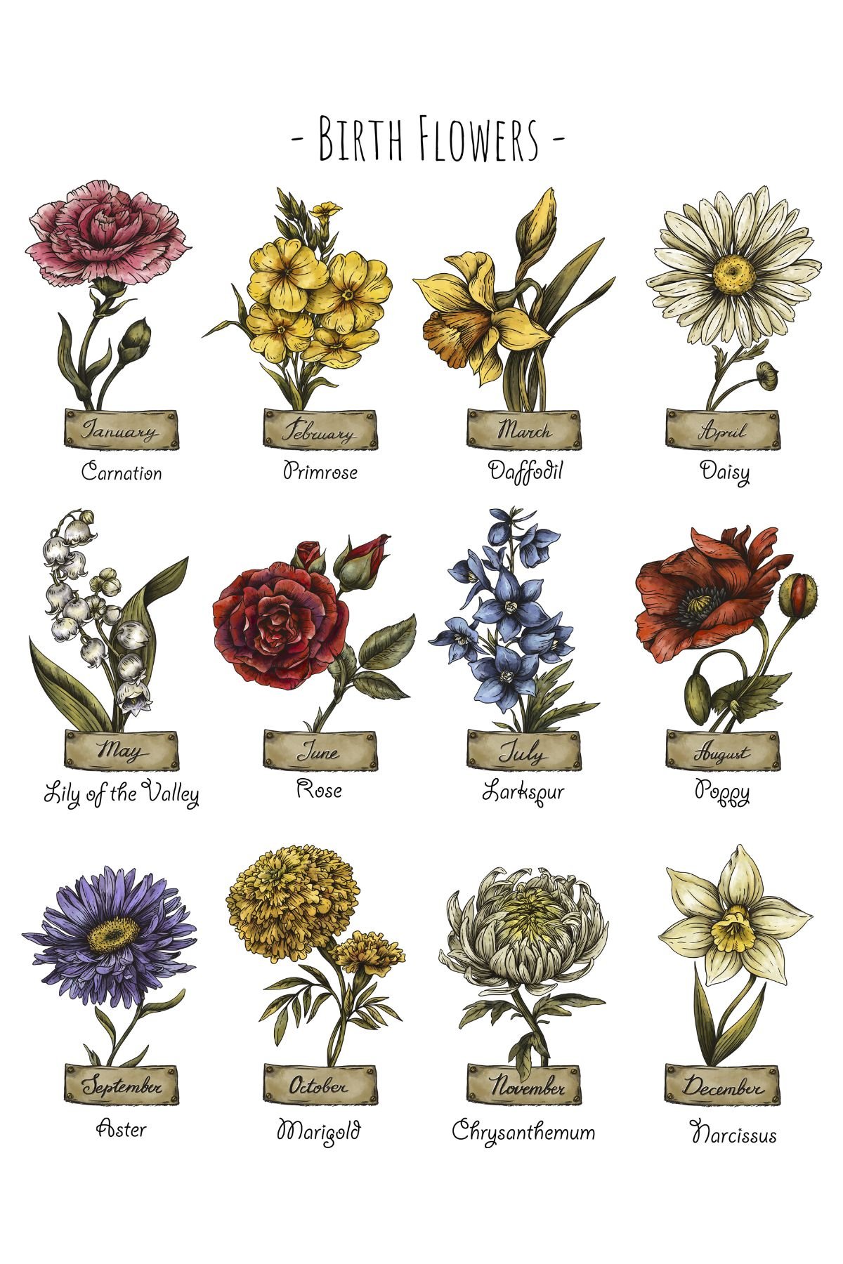 A Guide To Birth Month Flowers