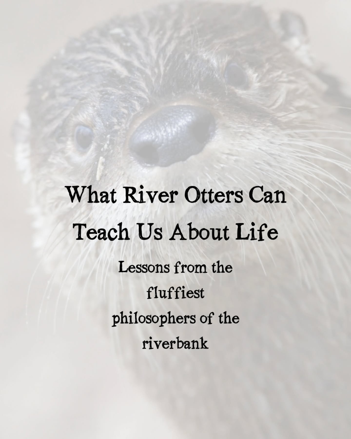River otters aren&rsquo;t just adorable... they&rsquo;re wise little water spirits if you pay attention. They remind us to play without purpose, float through the hard stuff, and rest without guilt.

In a world that glorifies hustle, maybe it&rsquo;s