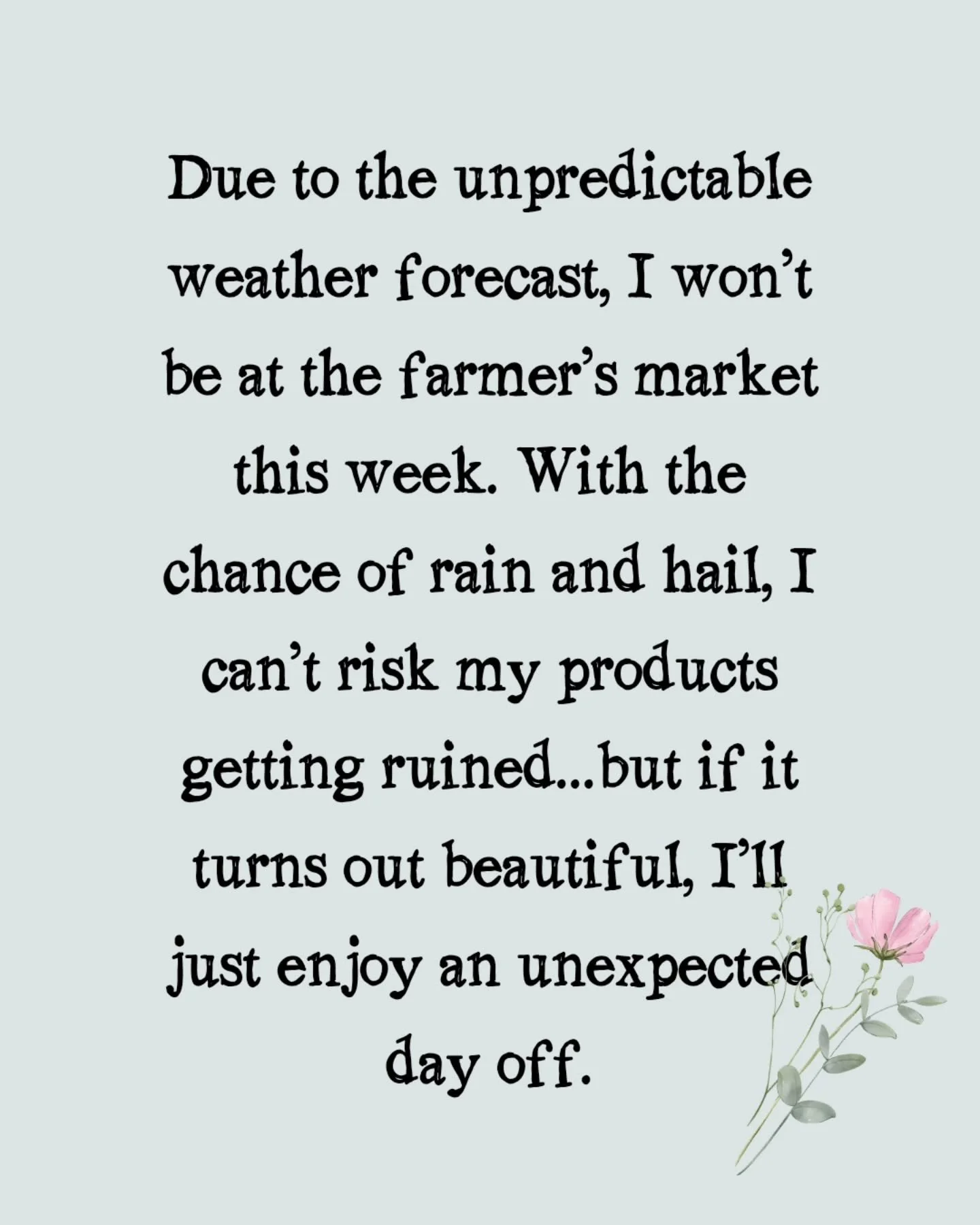 Skipping the farmer&rsquo;s market today because the forecast can&rsquo;t make up its mind! sunny, rainy, maybe hail. I can&rsquo;t risk my products getting ruined, so if it ends up being nice out&hellip; I&rsquo;ll call it a bonus day off.
@farmersm