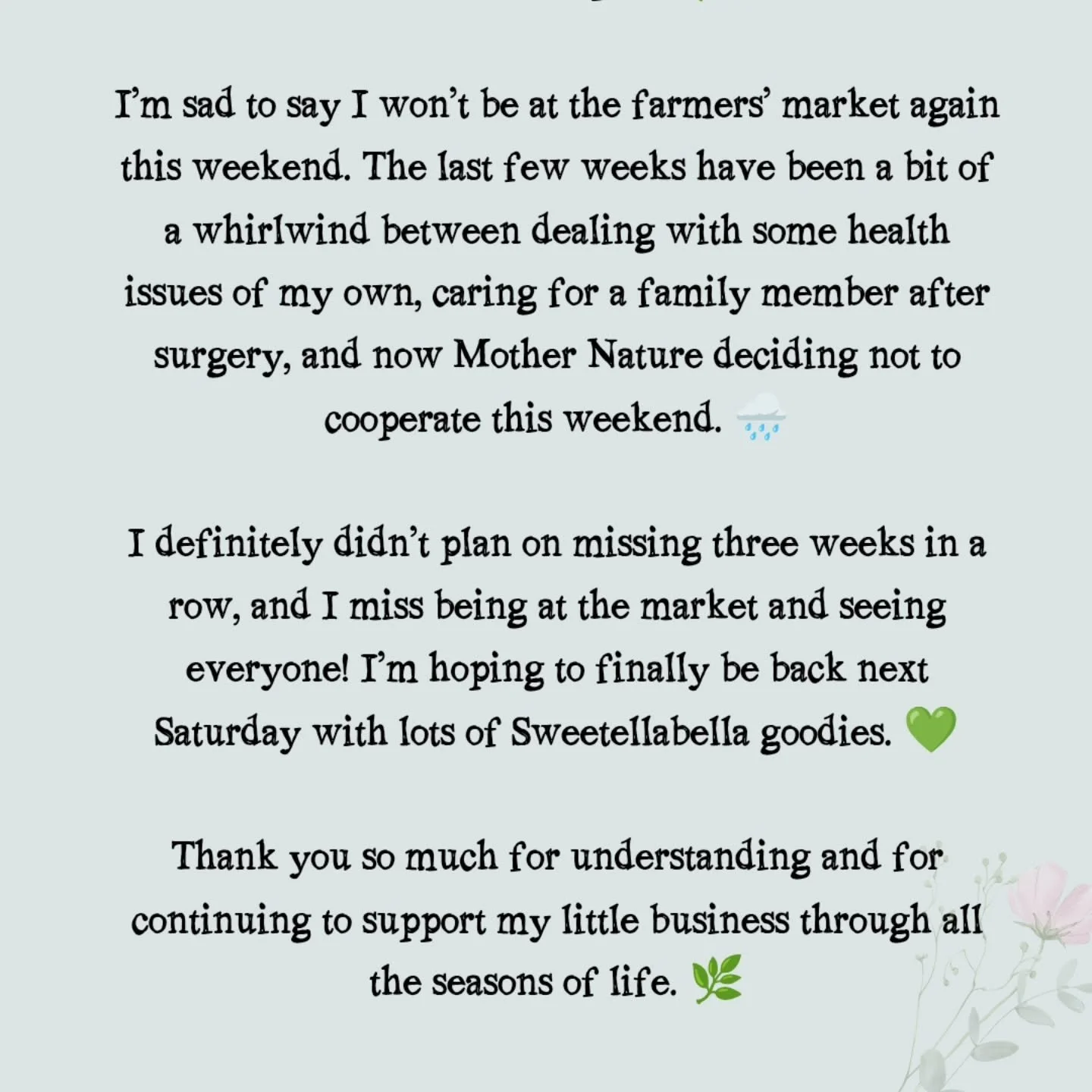 A little market update 🌿💚

I&rsquo;m sad to say I won&rsquo;t be at the farmers&rsquo; market again this weekend. The last few weeks have been a bit of a whirlwind between dealing with some health issues of my own, caring for a family member after 
