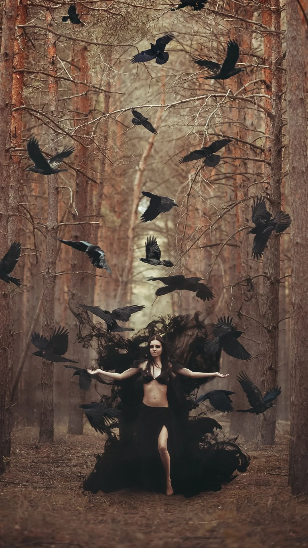 Raven Symbolism And Facts About A Unique Bird — Sweetellabella