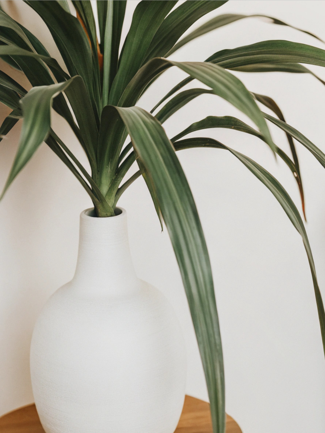 UNDERSTANDING RECRUITERS: HOW THEY CAN SUPPORT YOUR CAREER IN 2026