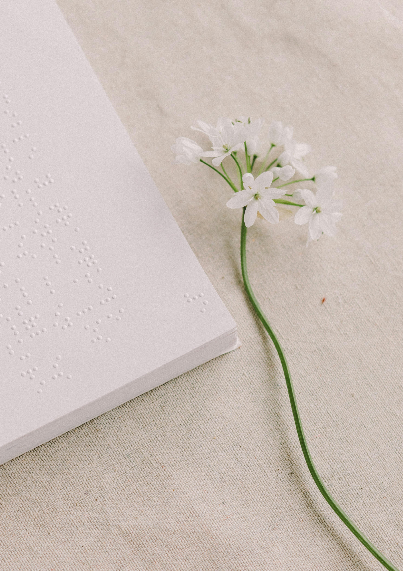 Hidden Job Market.png