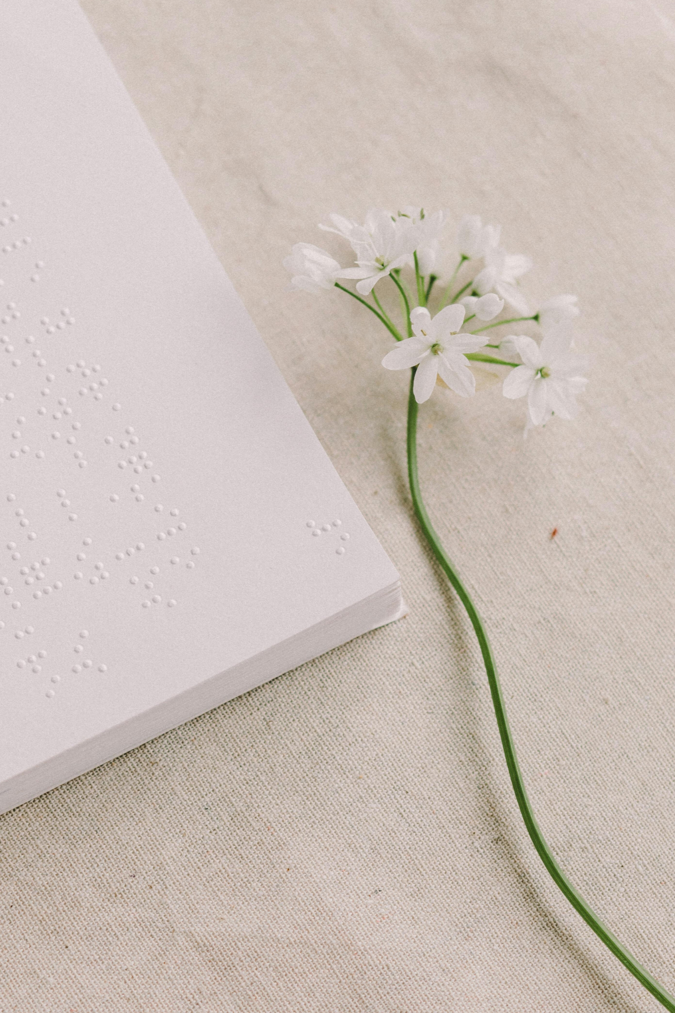How to find a job