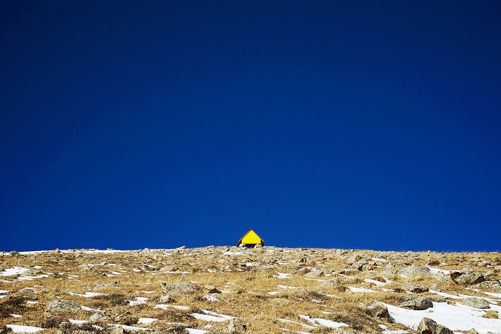 Yellow & Blue_1000px Anna Sergeeva photo.jpg