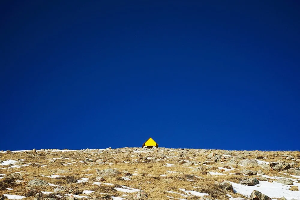 Yellow & Blue_1000px.jpg