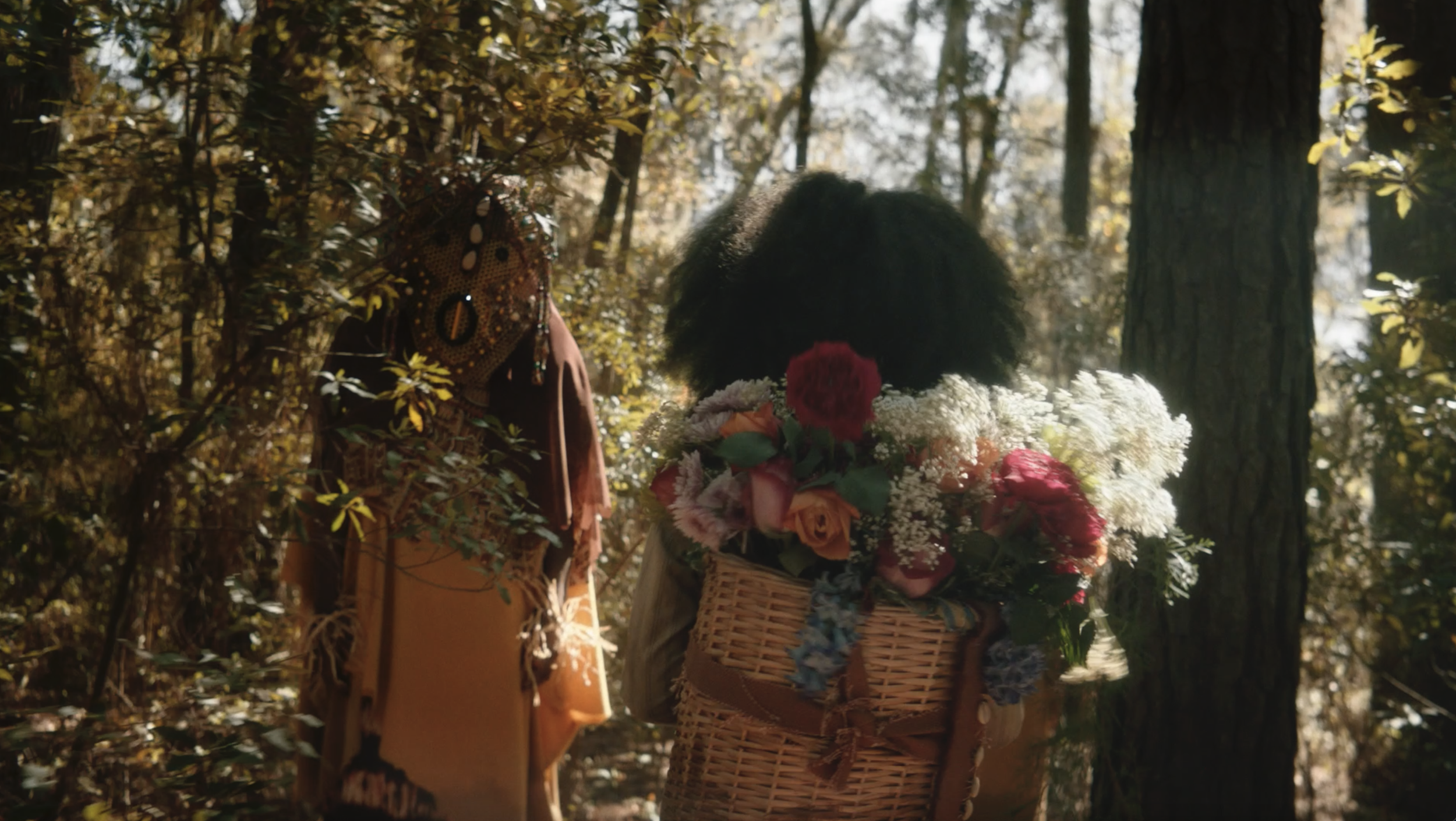 CrookedTrees_Still_001.png