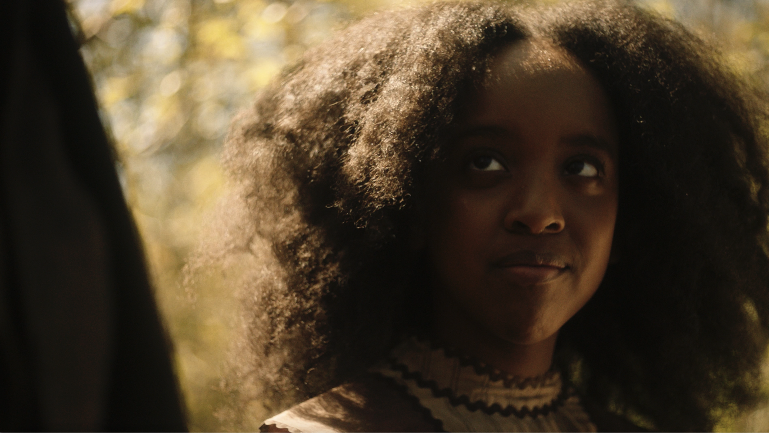 CrookedTrees_Still_009.png