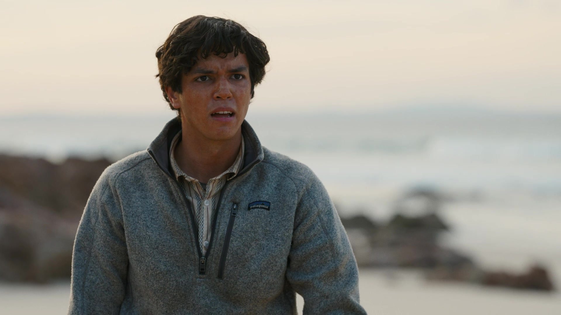 Patagonia-Fleece-Pullover-Jacket-Worn-by-Actor-Zack-Calderon-as-Rafael-Garcia-in-The-Wilds-S02E06-Day-46-26-2.jpeg