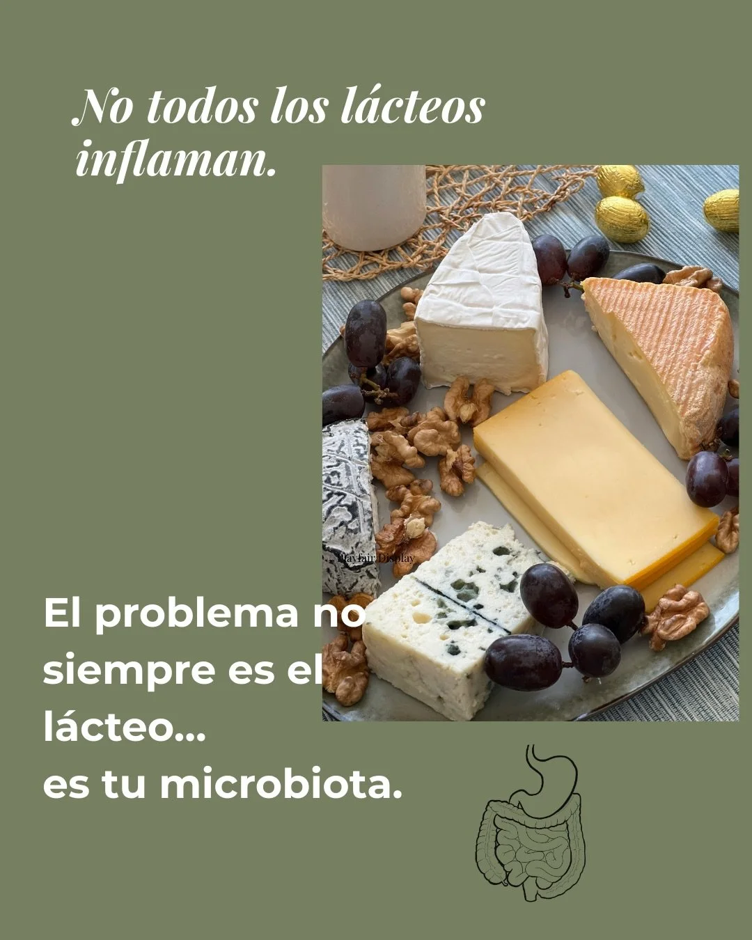 Un intestino desequilibrado puede hacer que reacciones mal a la lactosa o la case&iacute;na.
Pero cuando tu digesti&oacute;n mejora y tu microbiota est&aacute; fuerte, muchos l&aacute;cteos fermentados se toleran perfectamente.

Por eso en mi program
