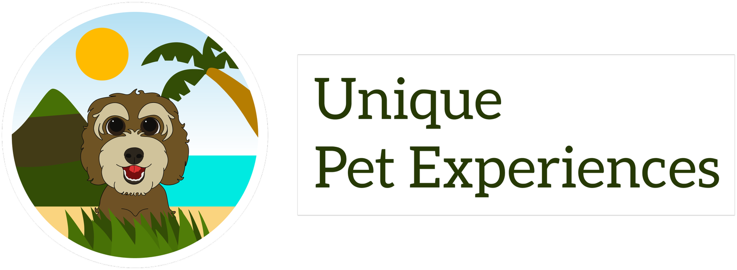 Unique Pet Experiences