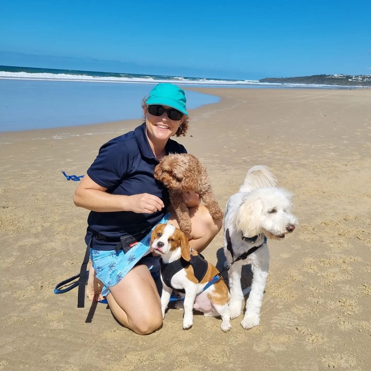 🌟 Unique Pet Experiences 🌟 

🏖 Beach with &quot;Fez&quot;, &quot;Rosie&quot; and &quot;Wee Jimmy &quot;🏖

❤️ Loving my office today ❤️

#smilingdogs #smilingpeople