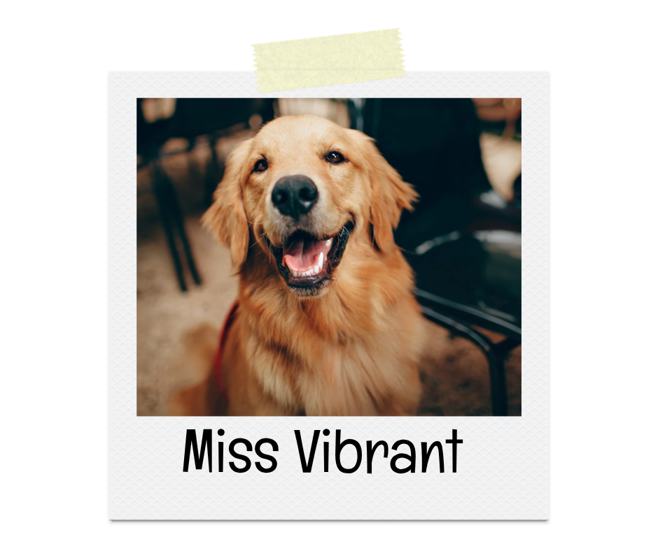Miss Vibrant