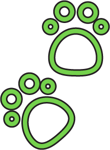 Green paw prints on a white background