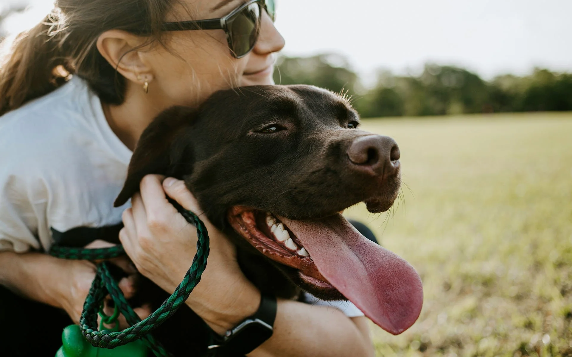 Owner sitting with their dog on the Mornington Peninsula during an in-home dog training session