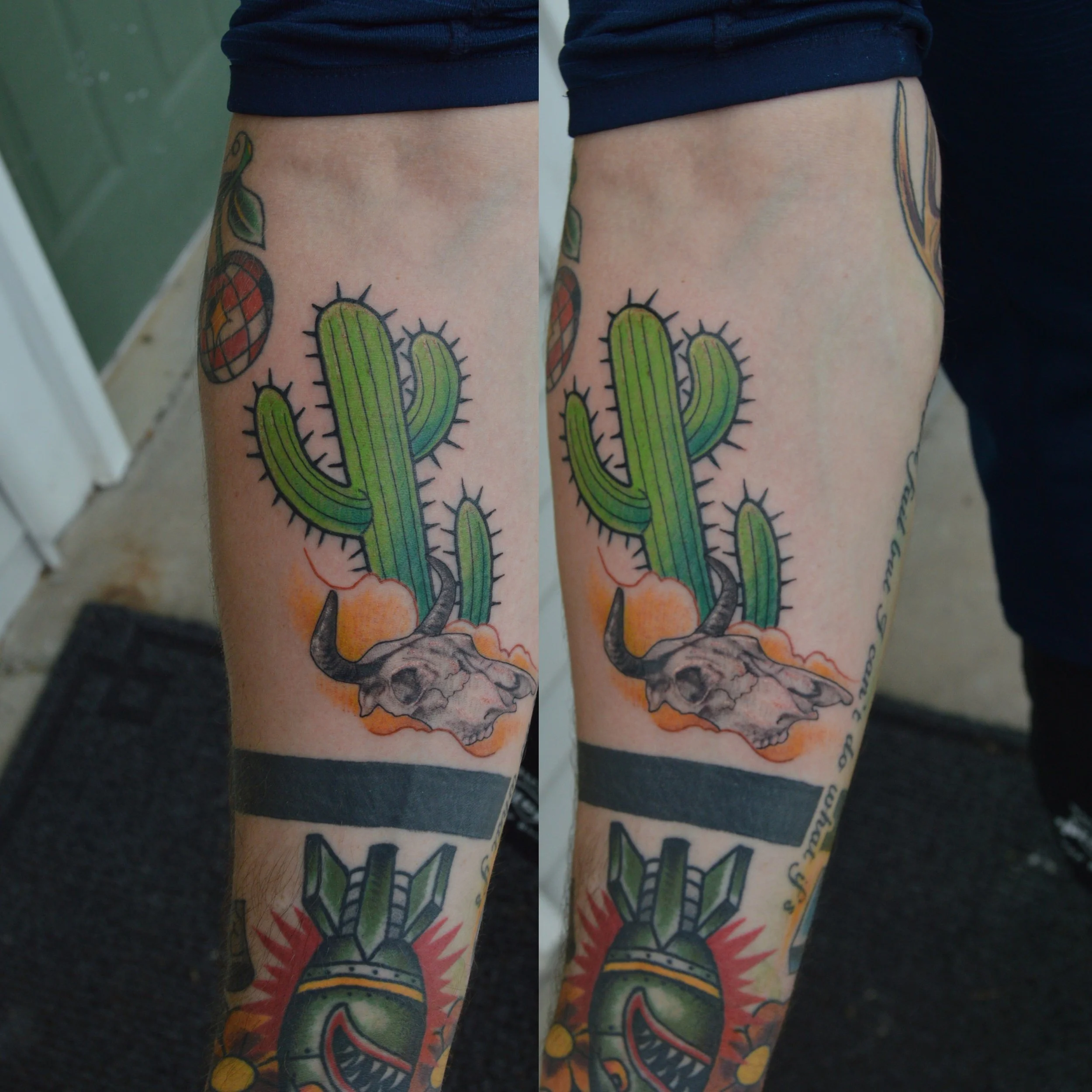 dakotacactus.jpeg