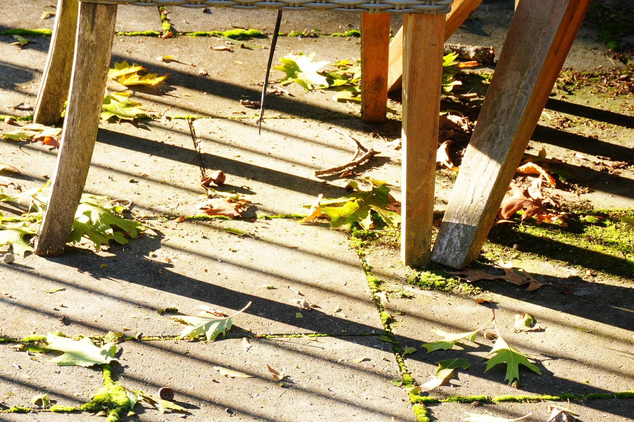 Chair legs and shadows
