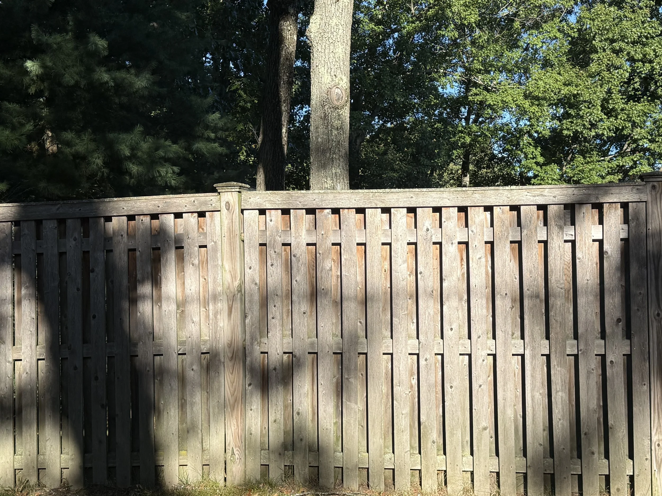 13. Fence in dappled light