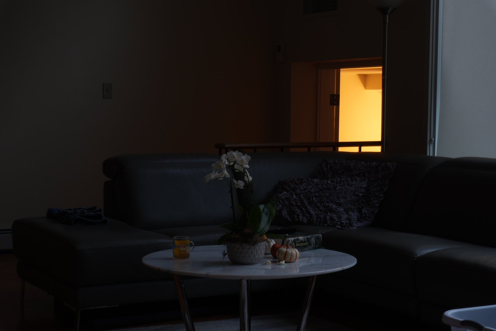 7. One lamp in the living room