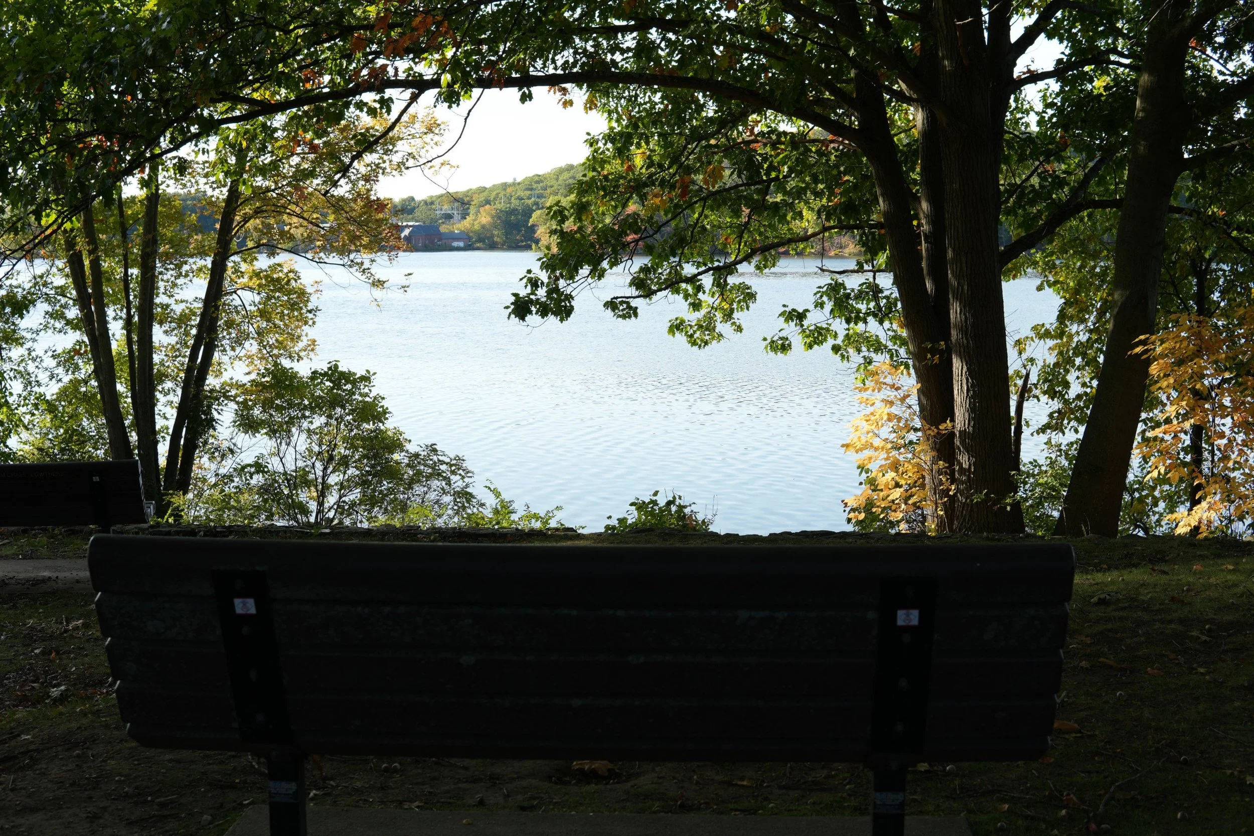 4. Bench facing the water