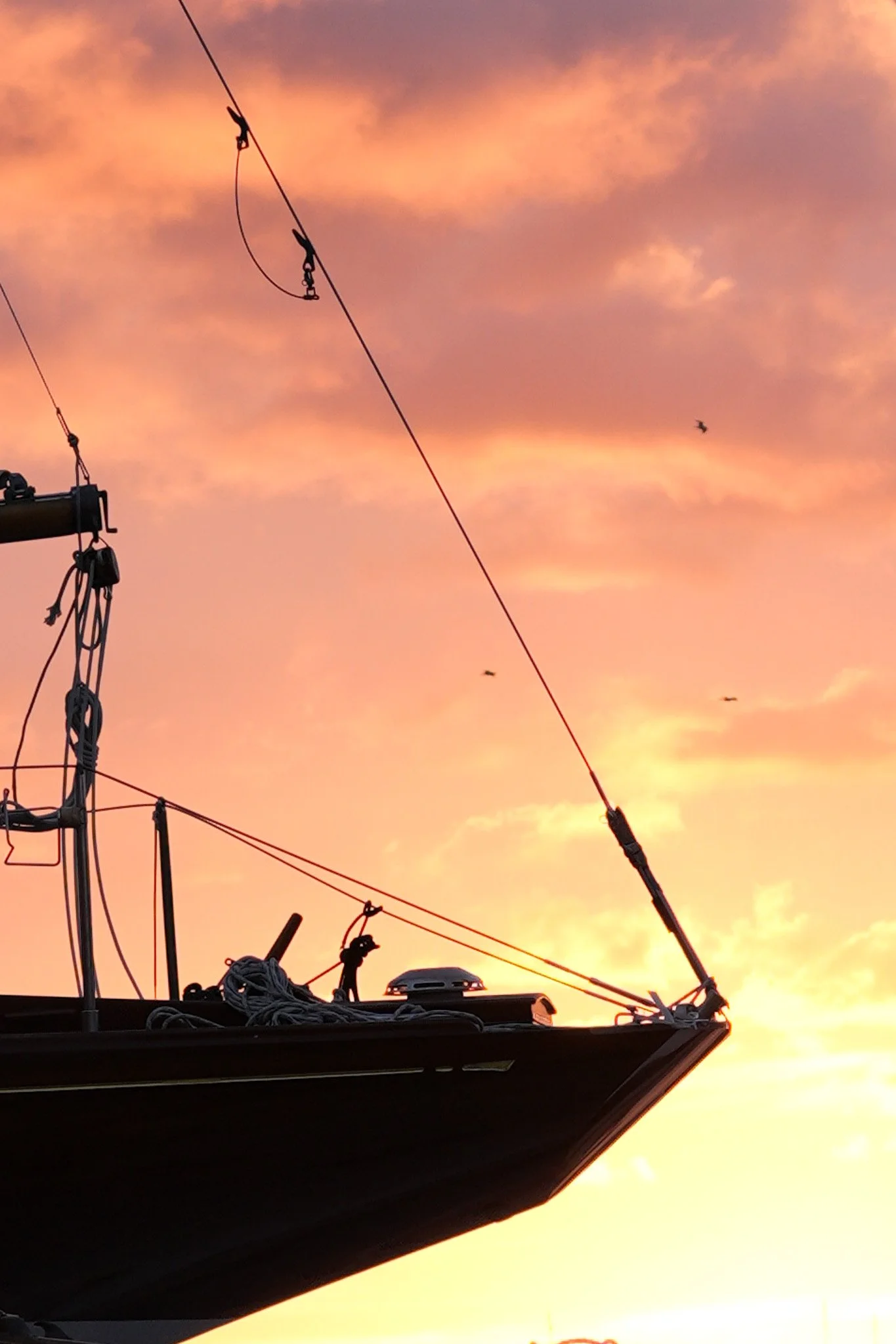 Bow at sunset