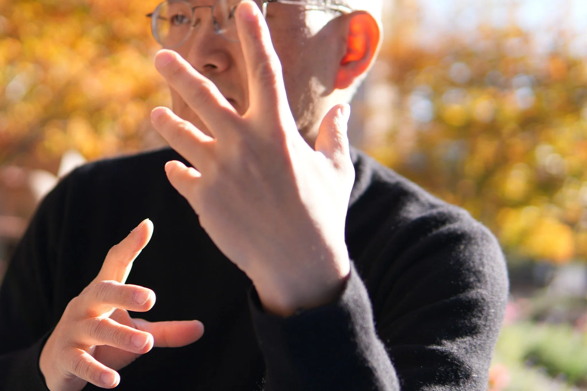 Hands in autumn light