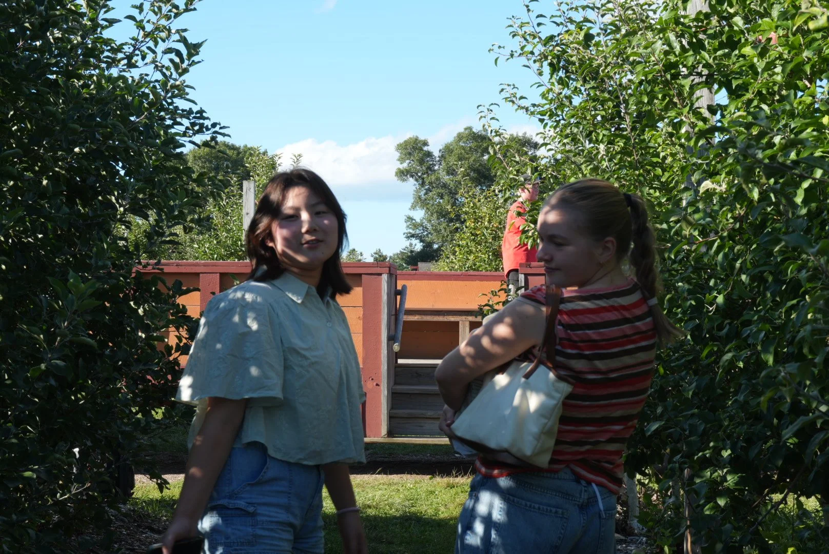 14. In the orchard