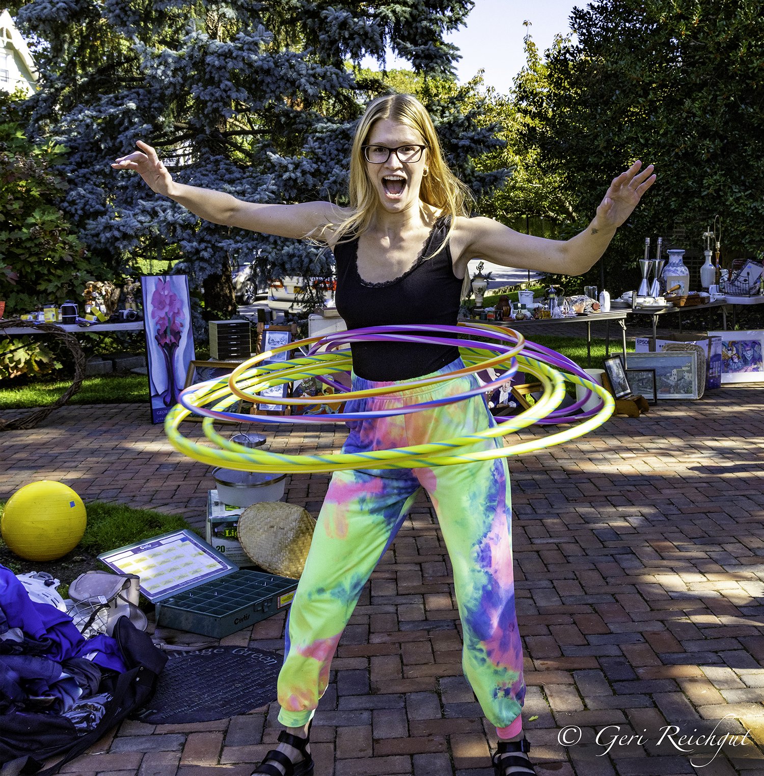 Sea Cliff Arts Council