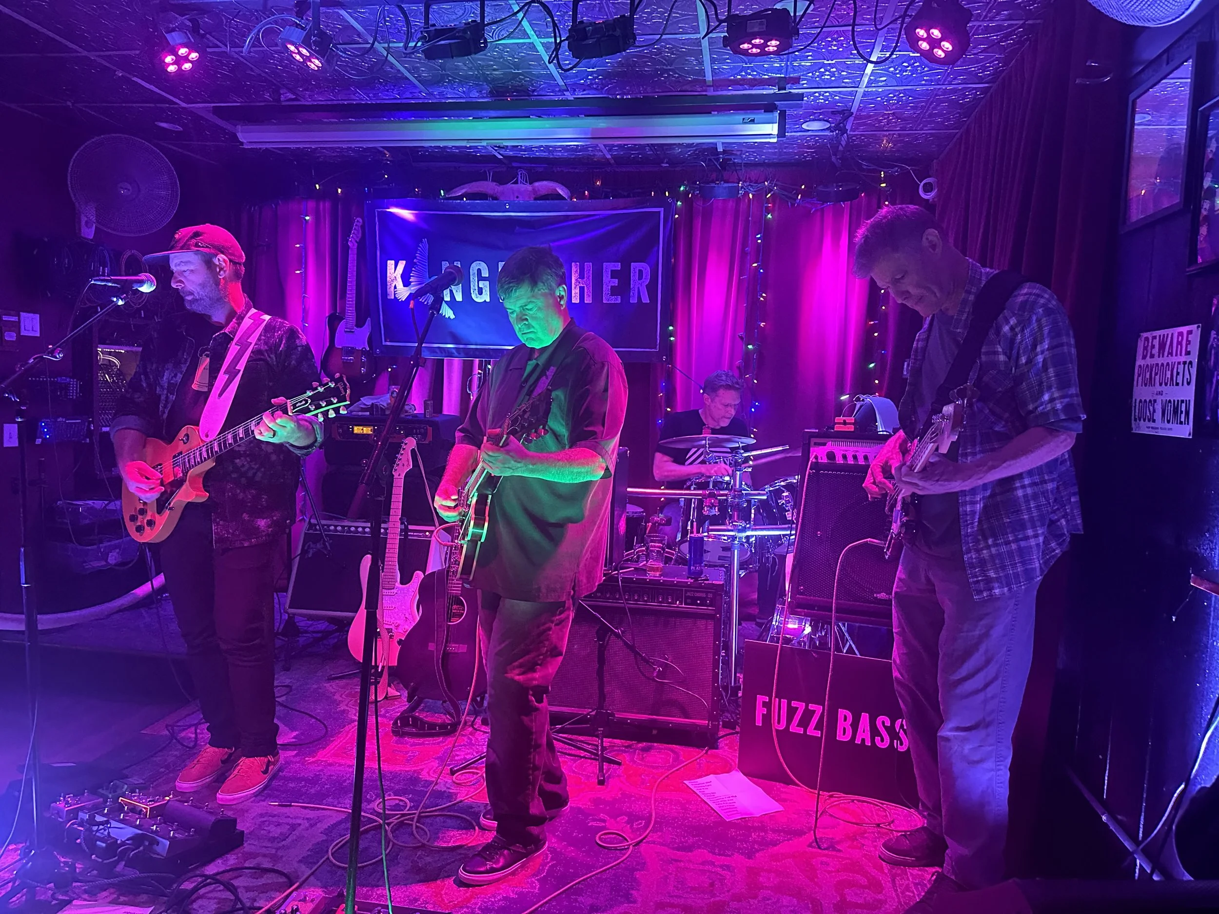 Kingfisher Unplugged