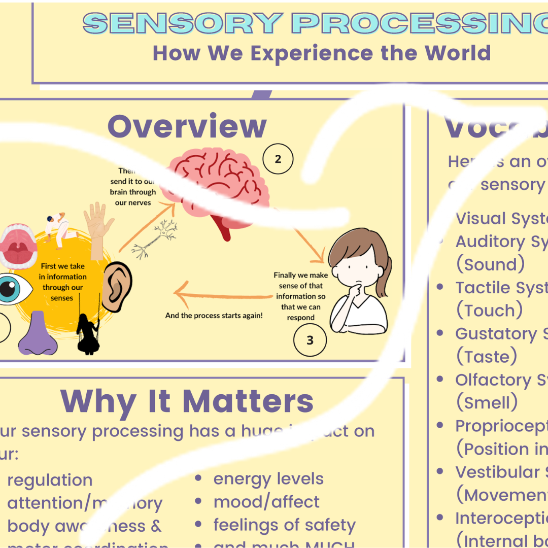 sensory processing explained.png
