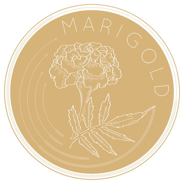 Marigold flower shop