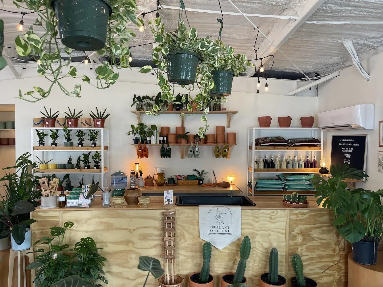 Plant Services — The Plant Outpost