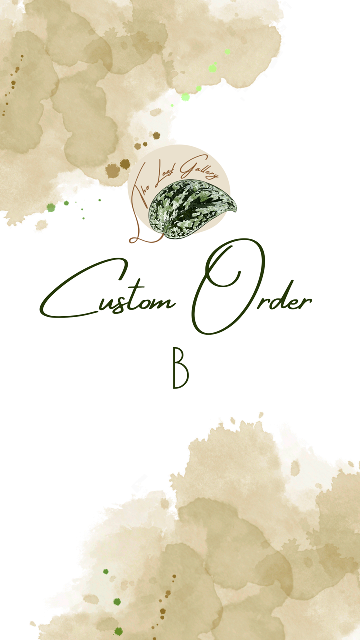 Custom Order B.png