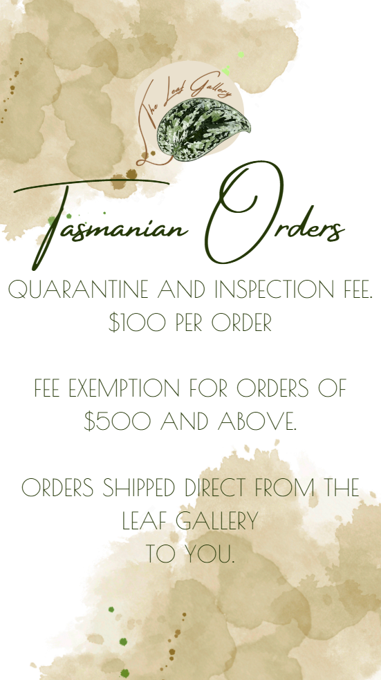 Tasmania fee.png