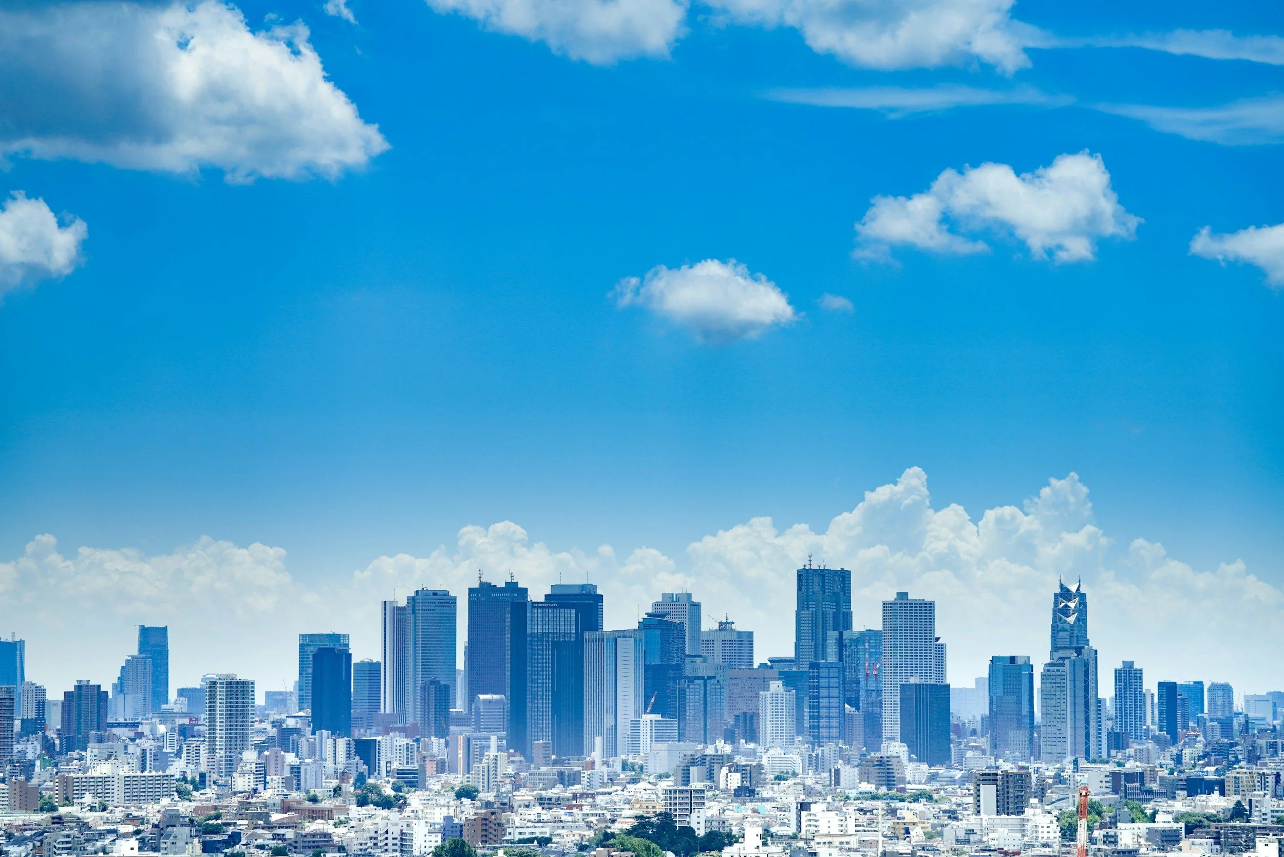 The Global Sales Athlete: Why Health, Discipline, and Recovery Now Matter in Every Region