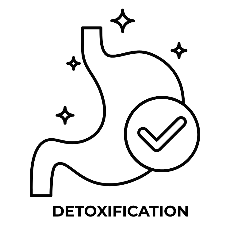 detox health improvement coaching.png